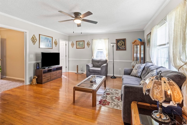 living room with ceiling fan, a textured ceiling, light hardwood / wood-style flooring, and ornamental molding