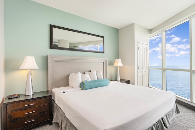 bedroom featuring a water view, a closet, and carpet flooring