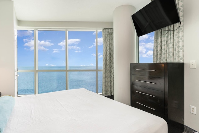 bedroom featuring a water view