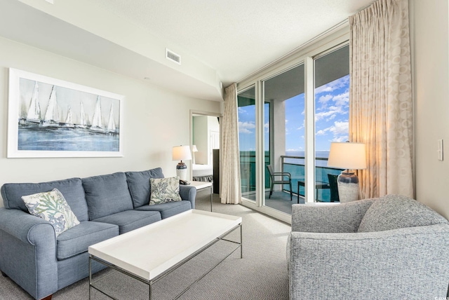 view of carpeted living room