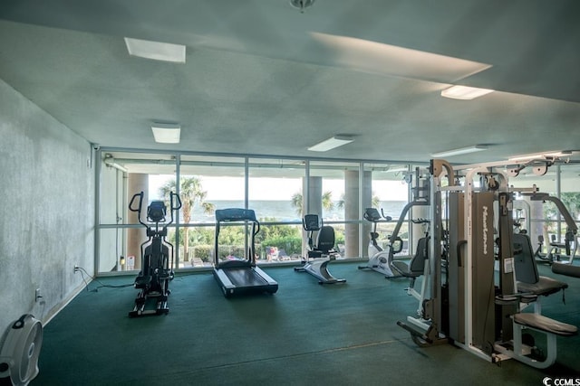 workout area with floor to ceiling windows