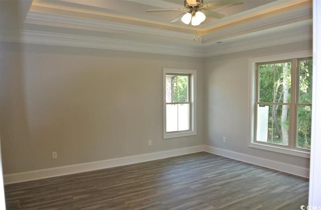 empty room featuring ornamental molding, a tray ceiling, dark hardwood / wood-style flooring, and plenty of natural light