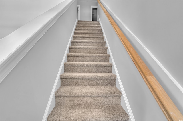 staircase with carpet floors