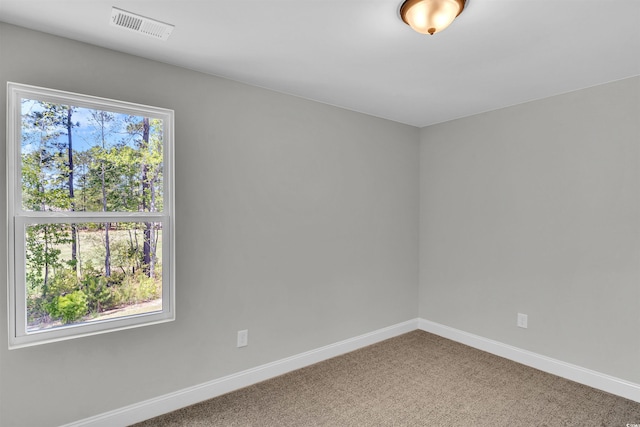 unfurnished room featuring carpet and a healthy amount of sunlight