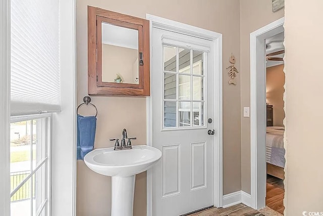 bathroom with hardwood / wood-style floors