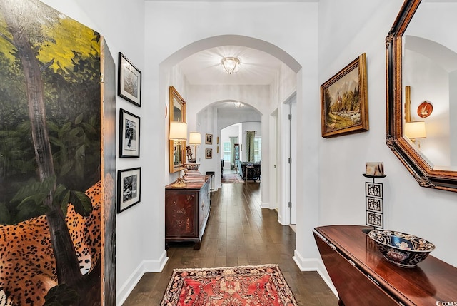 corridor featuring dark hardwood / wood-style floors