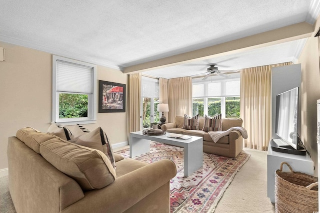 carpeted living room with crown molding, ceiling fan, and a textured ceiling