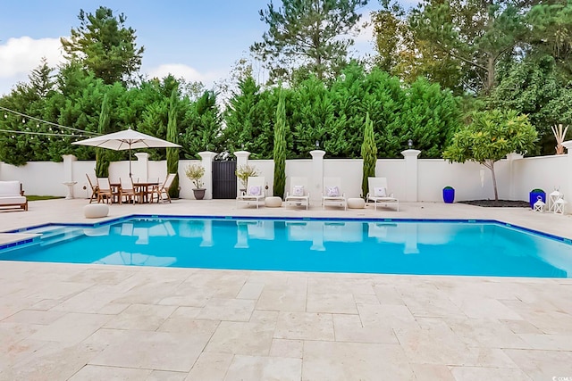 view of swimming pool with a patio area