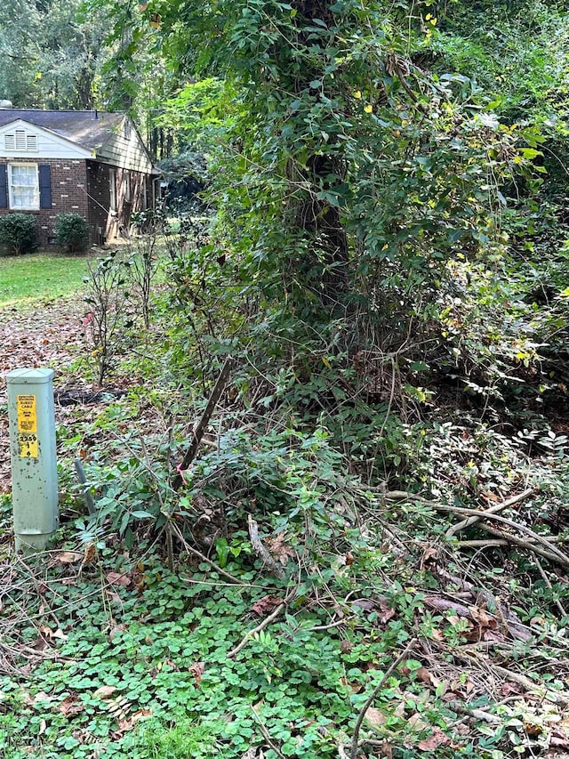 TBD Ivy Ave, Chesterfield, SC 29709
