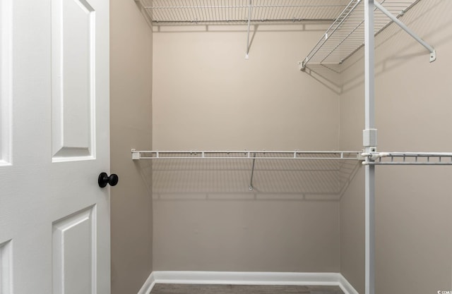 view of walk in closet