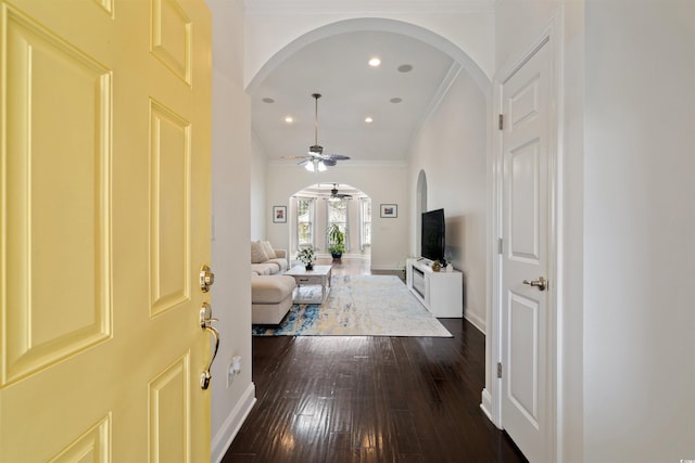 entrance foyer featuring ceiling fan, dark wood-type flooring, and crown molding