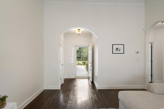 entryway featuring ornamental molding and dark wood-type flooring