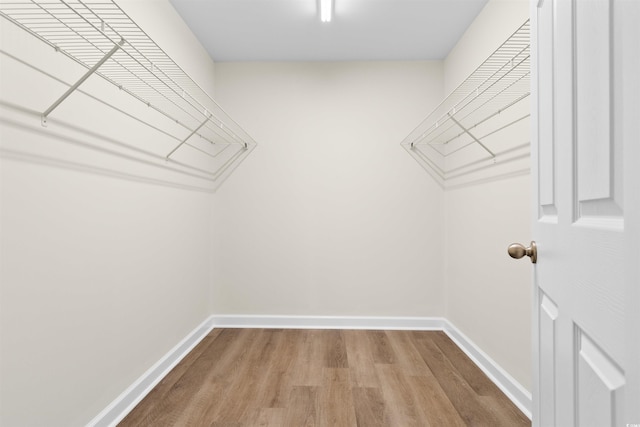 walk in closet featuring light wood-type flooring