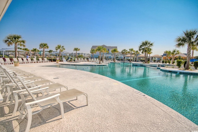 view of swimming pool with a patio area