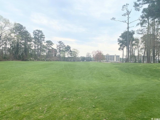 view of community featuring a lawn