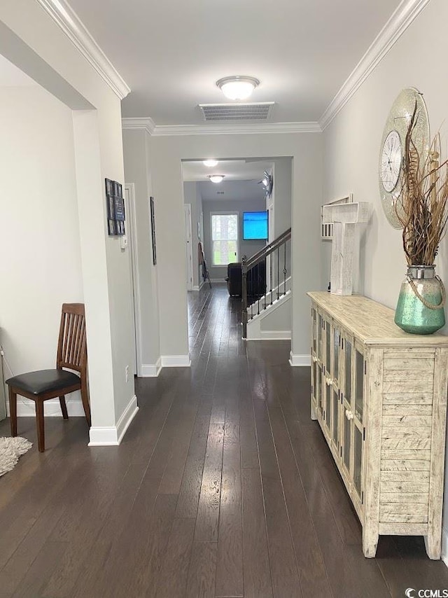 hallway with crown molding and dark hardwood / wood-style floors