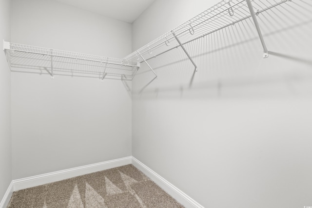 spacious closet featuring carpet