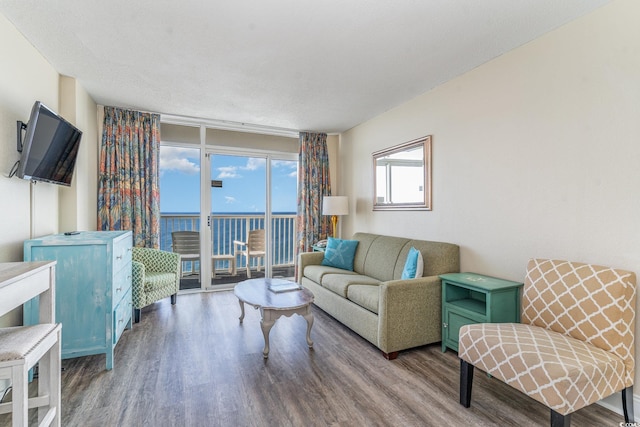 living room with hardwood / wood-style flooring