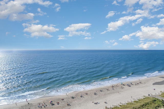 water view featuring a beach view