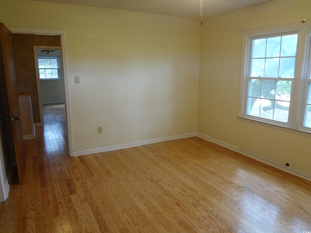 spare room with a healthy amount of sunlight and light hardwood / wood-style floors