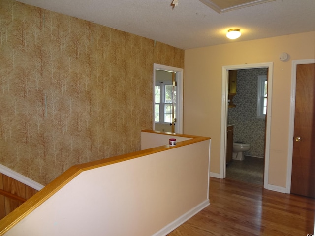 hall with plenty of natural light, wood-type flooring, and a textured ceiling