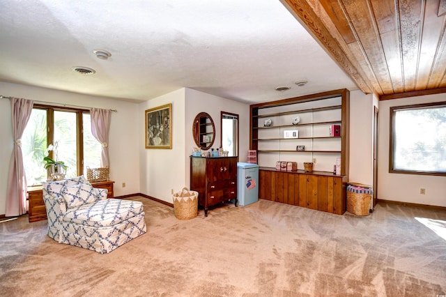 sitting room featuring light colored carpet and a textured ceiling