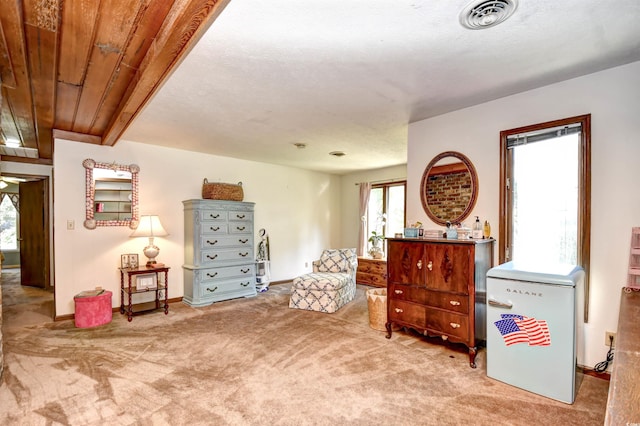 sitting room featuring light colored carpet and a textured ceiling