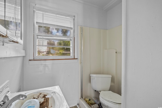 bathroom featuring toilet, crown molding, and vanity