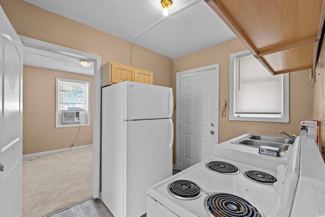 kitchen featuring white appliances, light hardwood / wood-style flooring, and sink