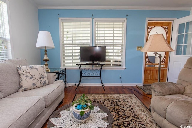 living room with ornamental molding and hardwood / wood-style flooring