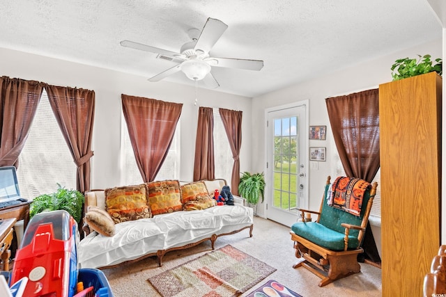 719 American Beech St, Loris, SC 29569 - photo 8