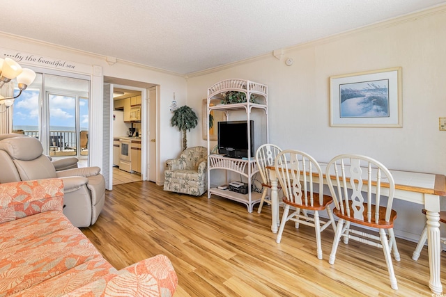 living room featuring crown molding, light hardwood / wood-style flooring, and a textured ceiling