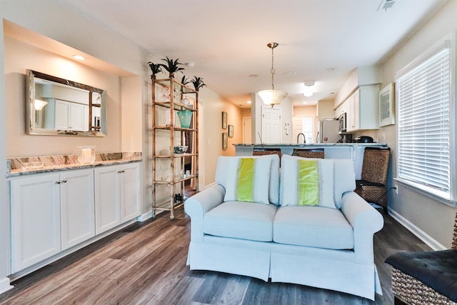 living room featuring dark hardwood / wood-style flooring and sink