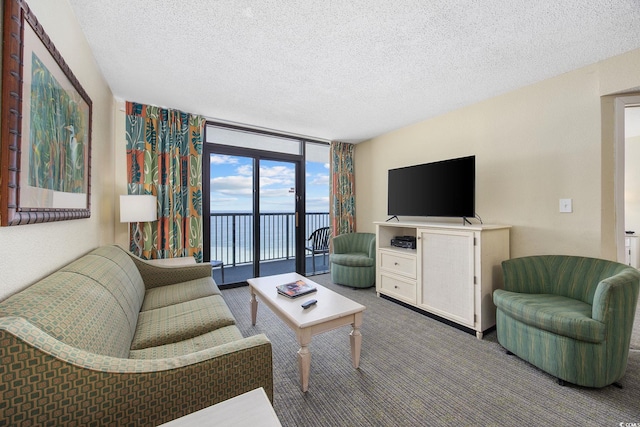 2301 Ocean Blvd S Unit 1218, Myrtle Beach, SC 29577 - carpeted living room with expansive windows and a textured ceiling