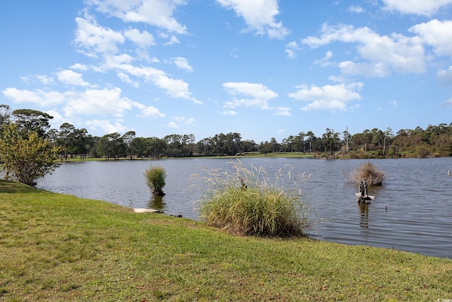 view of water feature