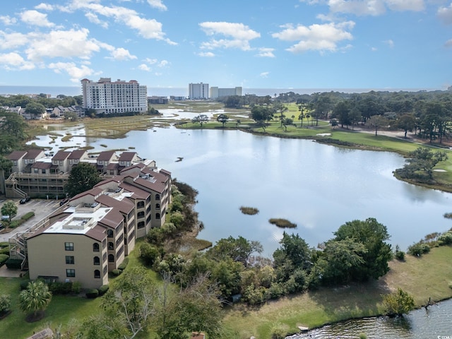 bird's eye view with a water view