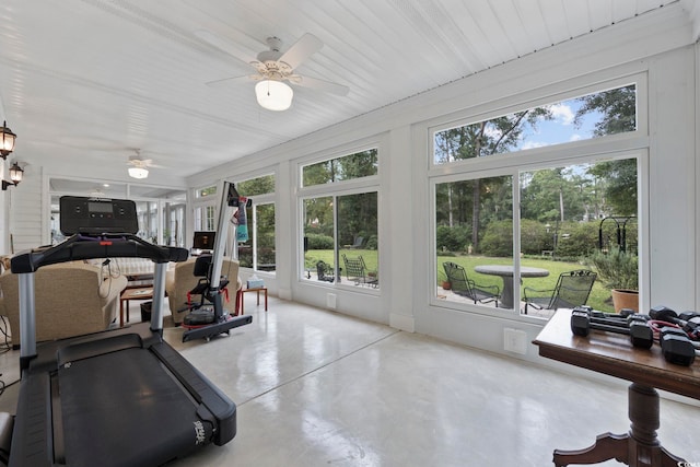 exercise area featuring a ceiling fan