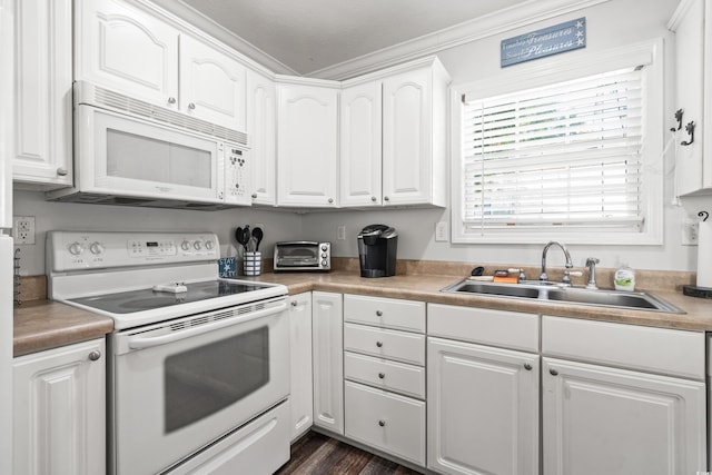6001-1870 S Kings Hwy, Myrtle Beach, SC 29575 - photo 16