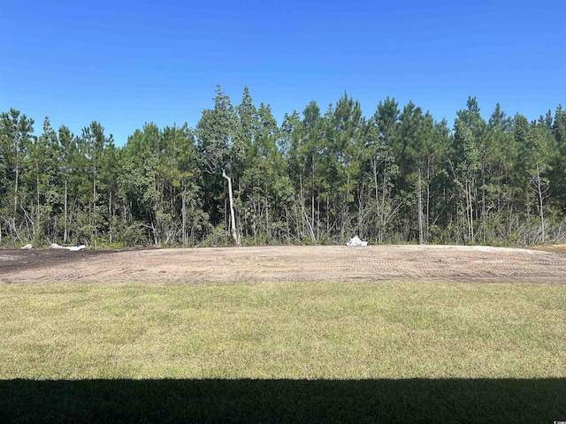 view of yard featuring a forest view