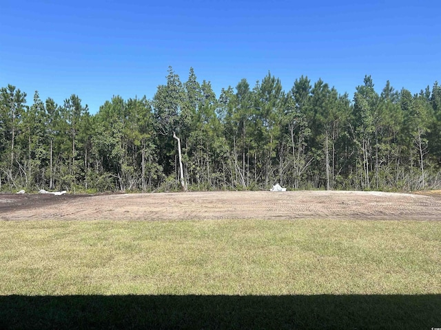 4753 Huckleberry Ln, Conway, SC 29526 - photo 19