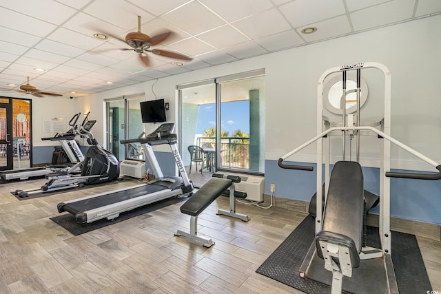 workout area with a paneled ceiling, hardwood / wood-style flooring, and ceiling fan