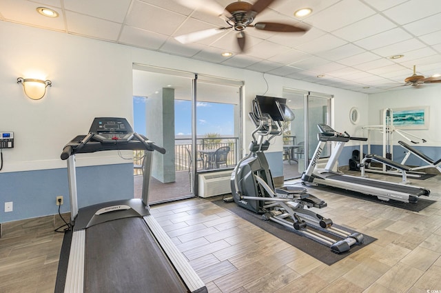 workout area featuring a drop ceiling, hardwood / wood-style floors, and ceiling fan