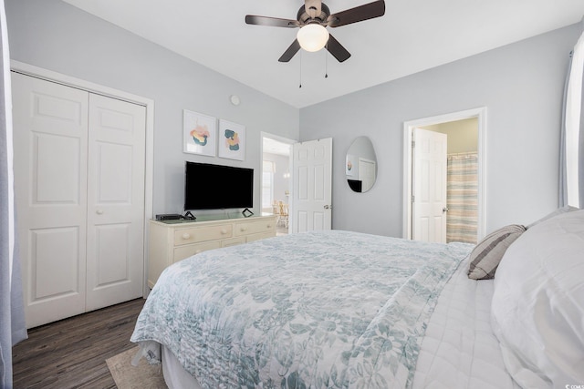 bedroom with dark hardwood / wood-style flooring, ceiling fan, and a closet