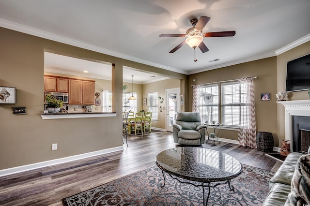 living room featuring ceiling fan, crown molding, and dark wood-type flooring