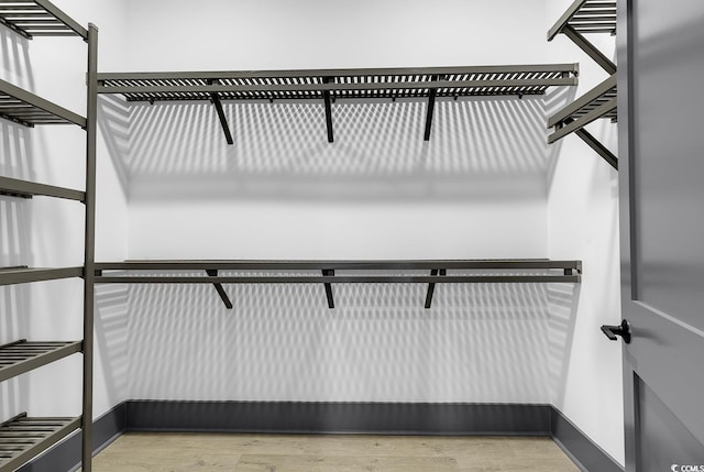 spacious closet featuring wood-type flooring