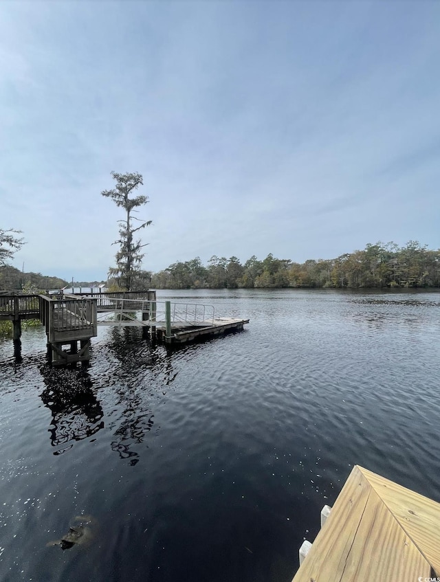 view of dock with a water view