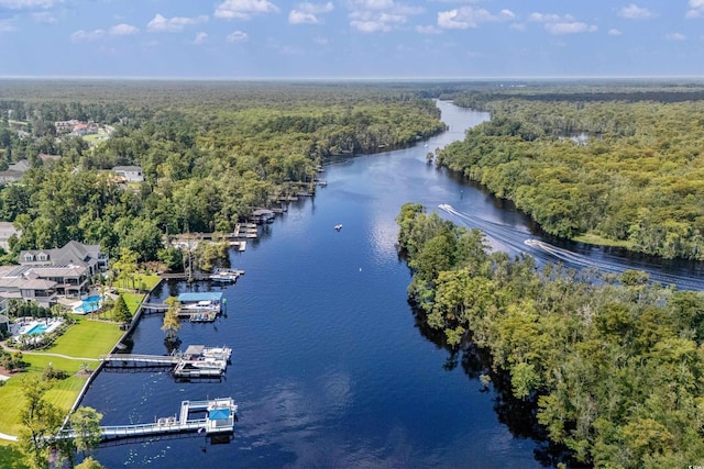 aerial view with a water view and a wooded view