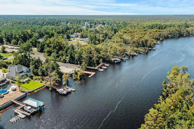 birds eye view of property featuring a water view and a view of trees