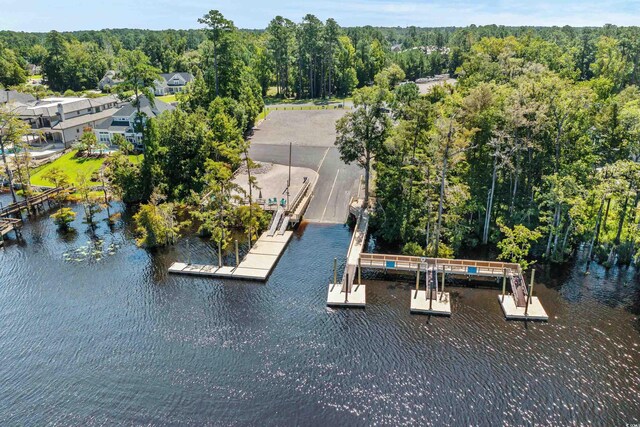 drone / aerial view featuring a water view and a view of trees