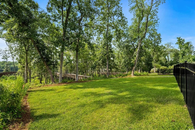 372 Chamberlin Rd, Myrtle Beach, SC 29588 - view of yard